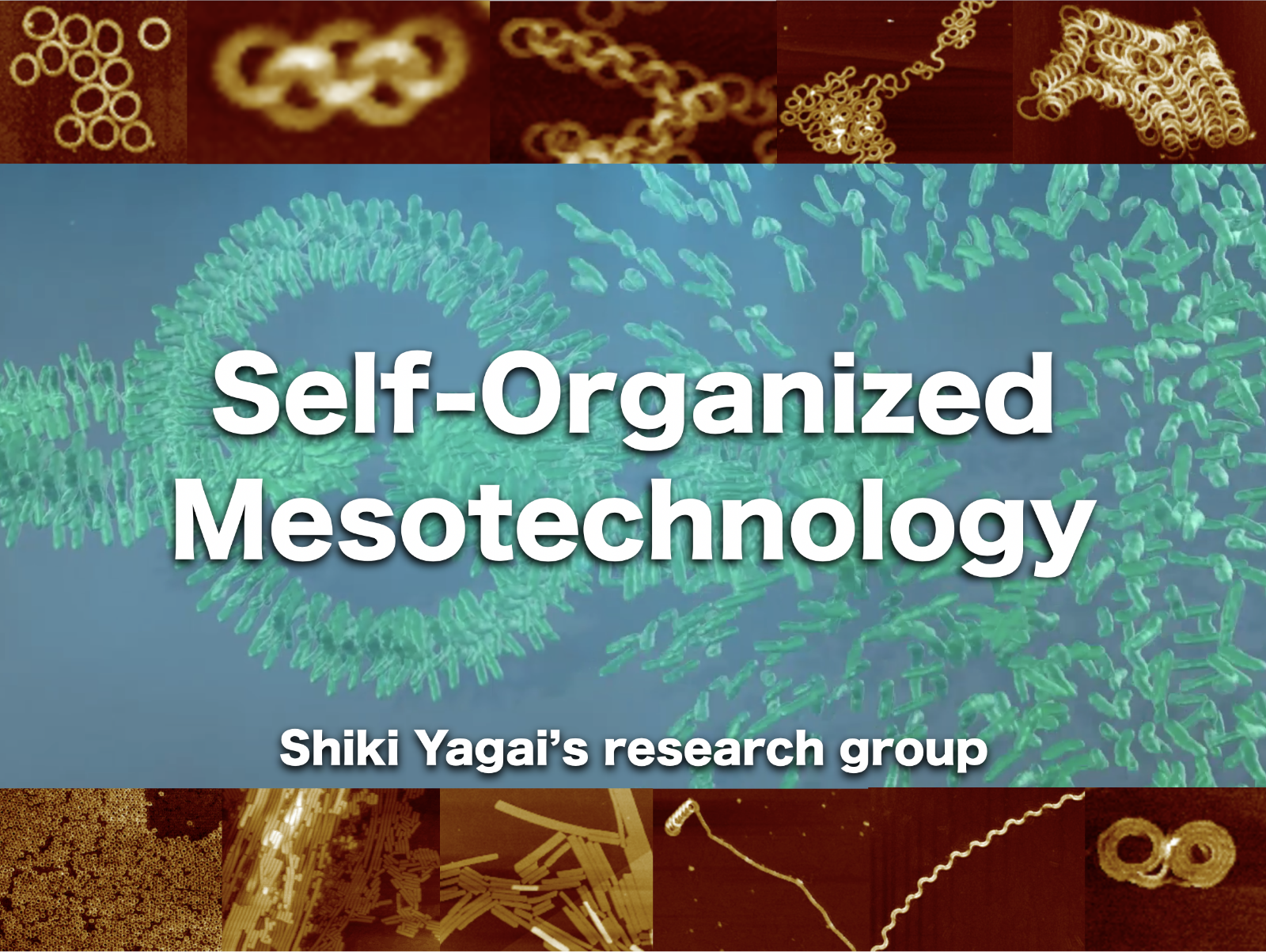 Self-Organized Mesotechnology