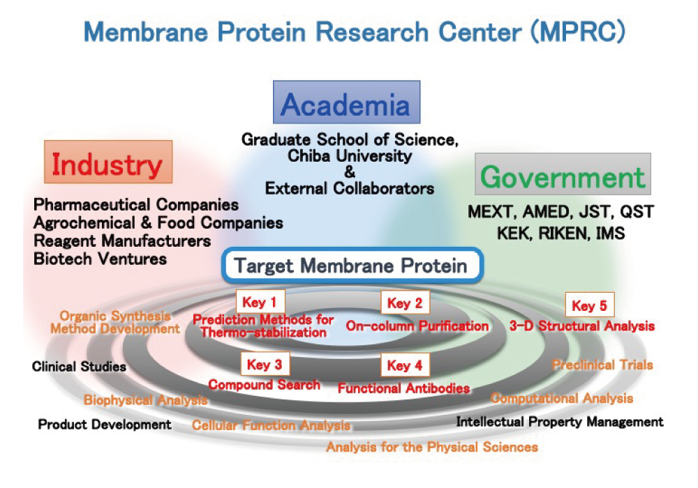 Establishment of innovative basic technology to accelerate drug discovery in academia targeting membrane proteins