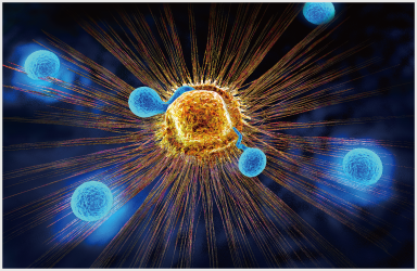Ｔ細胞を中心とした抗腫瘍免疫応答の包括的理解とその治療戦略基盤の創生