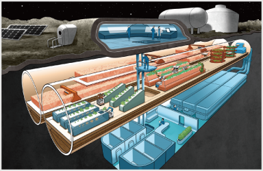 Establishment of a food production and resource recycling system for long-term habitation in space and extreme environments